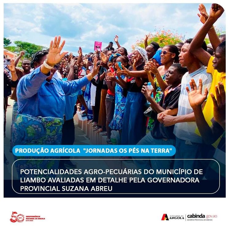 Notícia