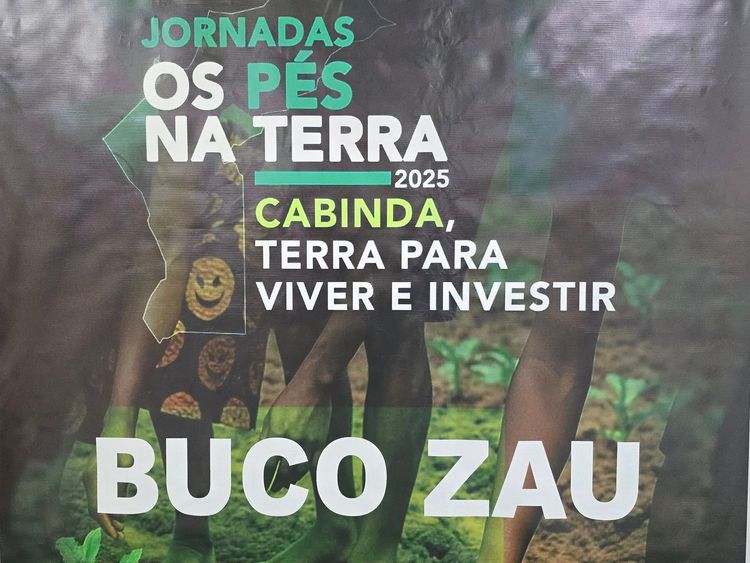 Notícia