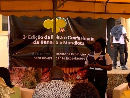 Notícia